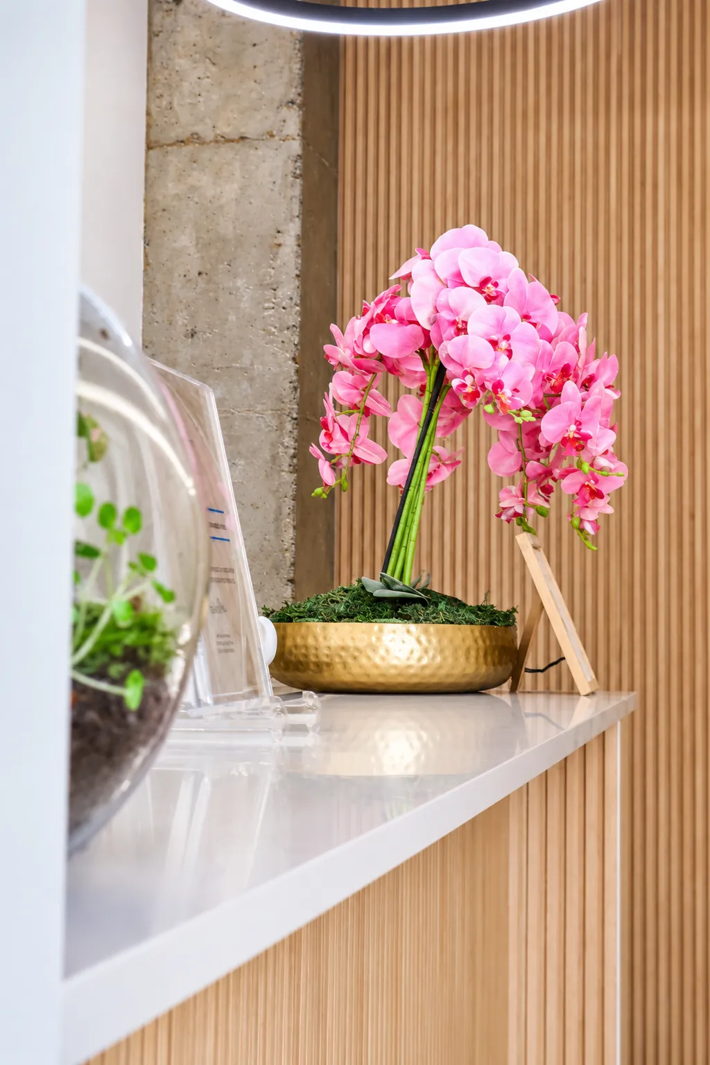 Recepción de la clínica con una orquídea rosa sobre el mostrador