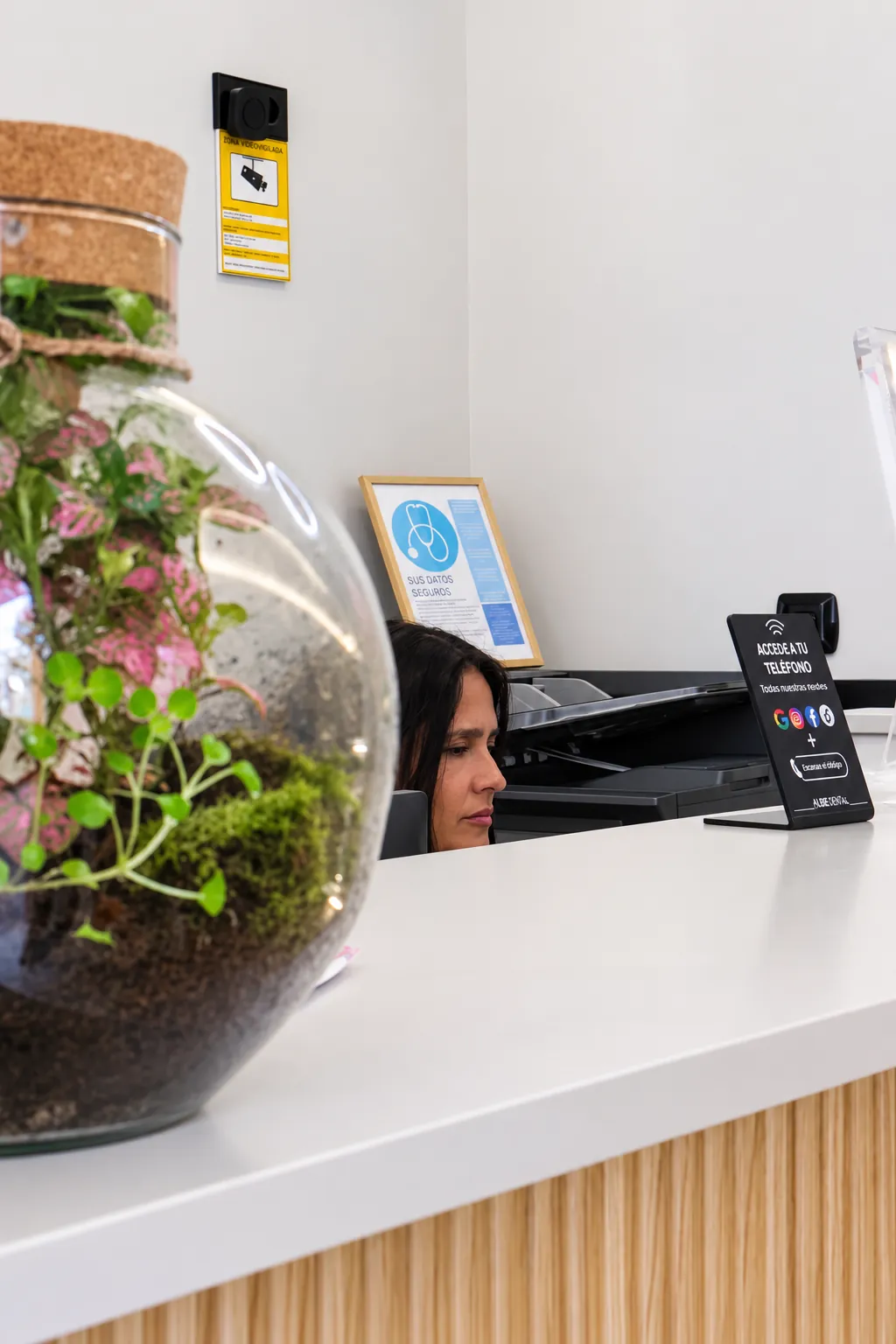 Mostrador de recepción con un terrario y una recepcionista al fondo